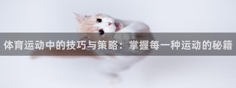 J9官网下载招商电话号码查询是多少：体育运动中的技巧与策略：