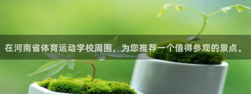J9官网下载招商电话号码查询：在河南省体育运动学校周