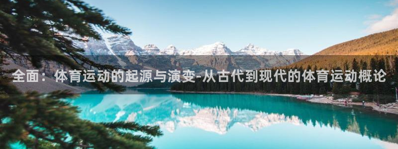 J9官方平台体育