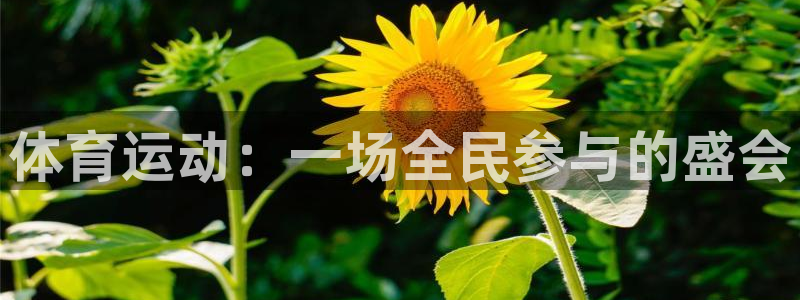 J9官网下载招商电话地址