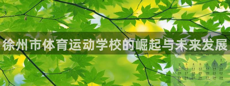 J9官网下载招商电话地址是多少：徐州市体育运动学校的崛起与未