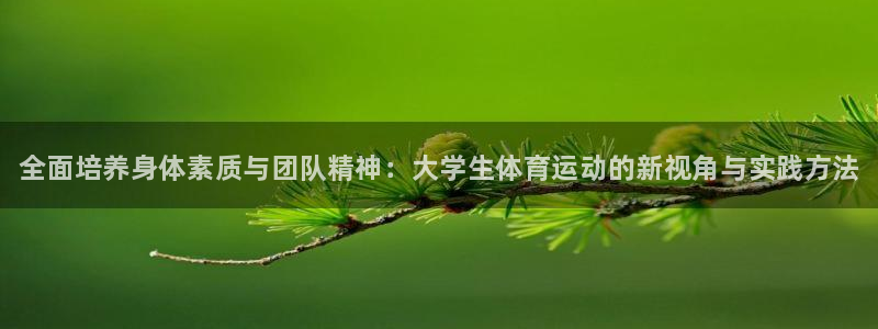 J9官方正版app新能源：全面培养身体素质与团队精神：大学生