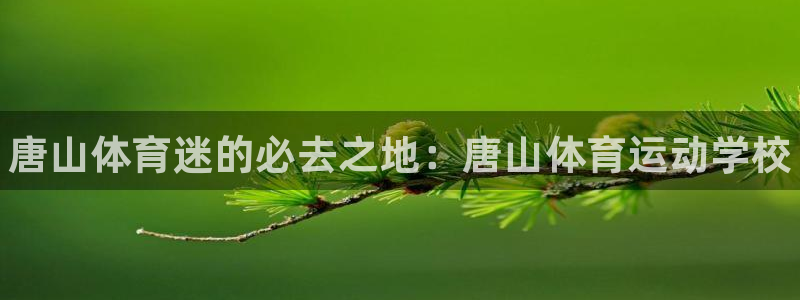 J9官网下载招商电话号码是多少