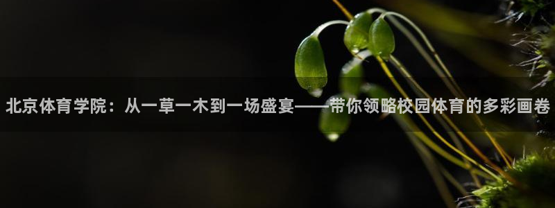 J9官方正版app集团简介：北京体育学院：从一草一木到一场盛
