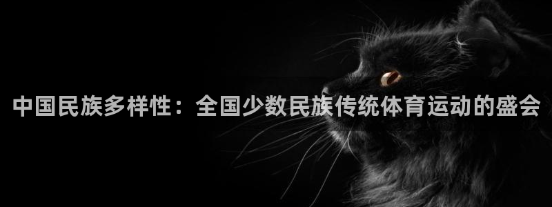J9官网下载招商电话