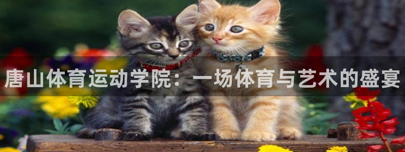 J9官方正版app科技