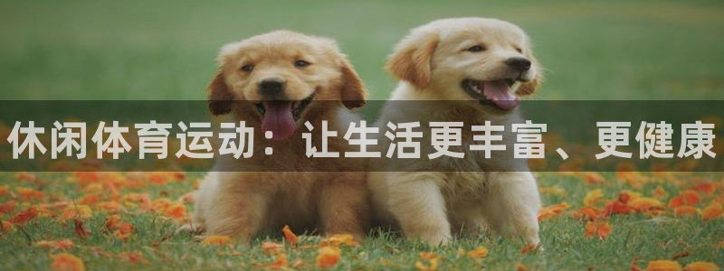 海南J9官网下载：休闲体育运动：让生活更丰富、更健康