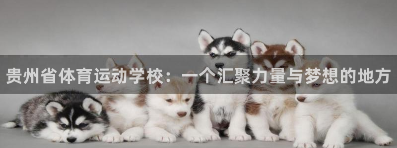 J9官方正版app集团官网首页网址：贵州省体育运动学