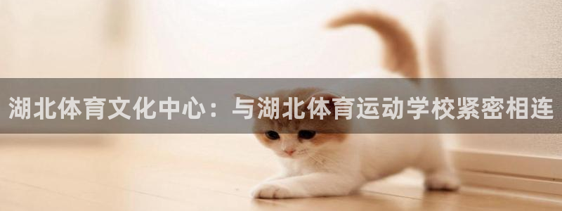 J9官方正版app娱乐首页网站大全：湖北体育文化中心