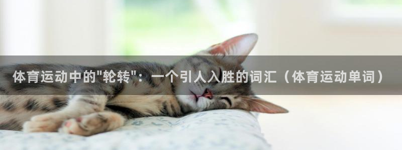 J9官方正版app娱乐下载：体育运动中的\