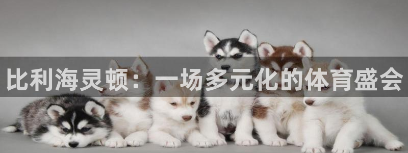 注册J9官方正版app：比利海灵顿：一场多元化的体育盛会