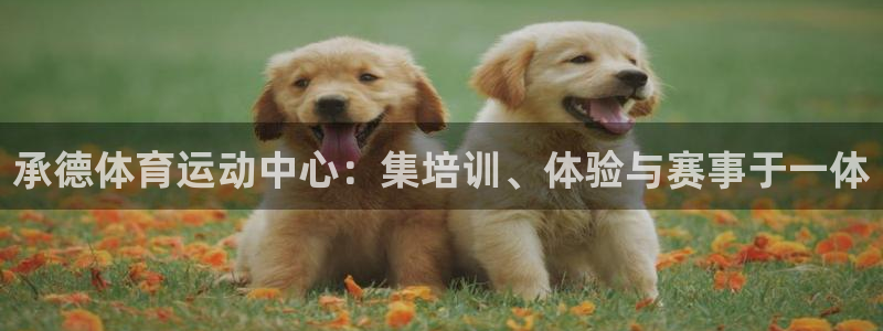 J9官网下载平台假的吗是真的吗：承德体育运动中心：集培训、体