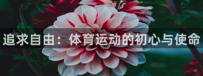 J9官网下载：追求自由：体育运动的初心与使命