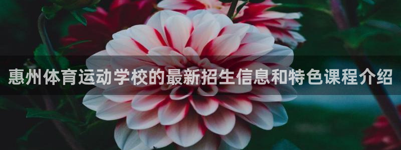 J9官方正版app集团logo：惠州体育运动学校的最