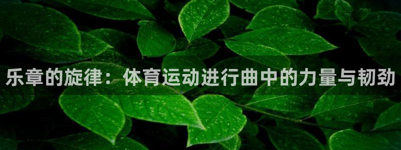 J9官网下载平台注册要钱吗安全吗：乐章的旋律：体育运