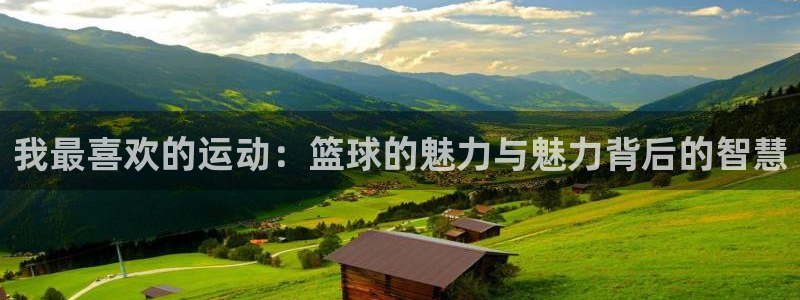 德国J9官方正版app集团：我最喜欢的运动：篮球的魅力与魅力