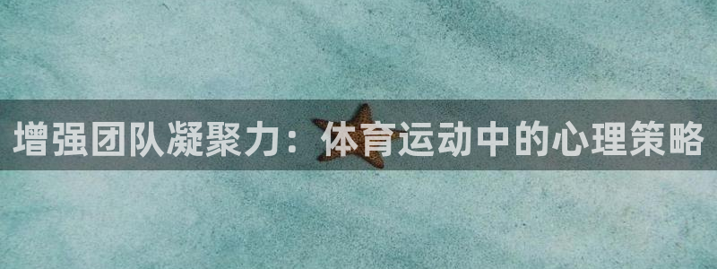 J9官方正版app集团logo