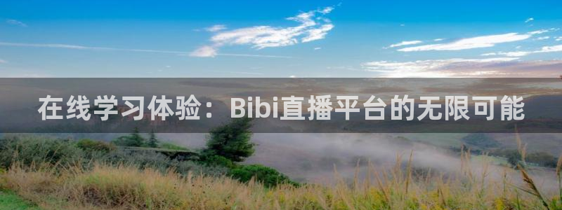 足球鲸鱼直播