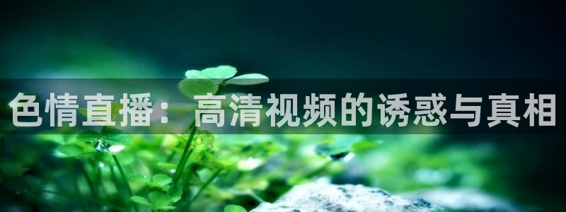 鲸鱼体育nba68.tv