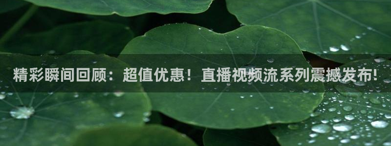 鲸鱼体育在线直播
