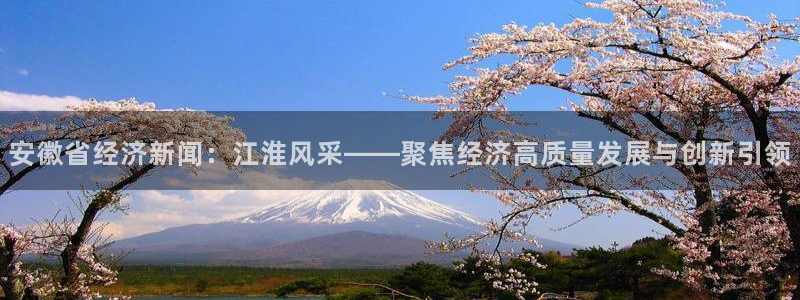 鲸鱼体育：安徽省经济新闻：江淮风采——聚焦经济高质量发展与创新引领